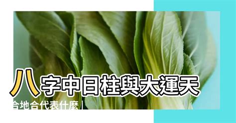 大運流年天合地合|大運、流年是什么？如何判斷吉兇？